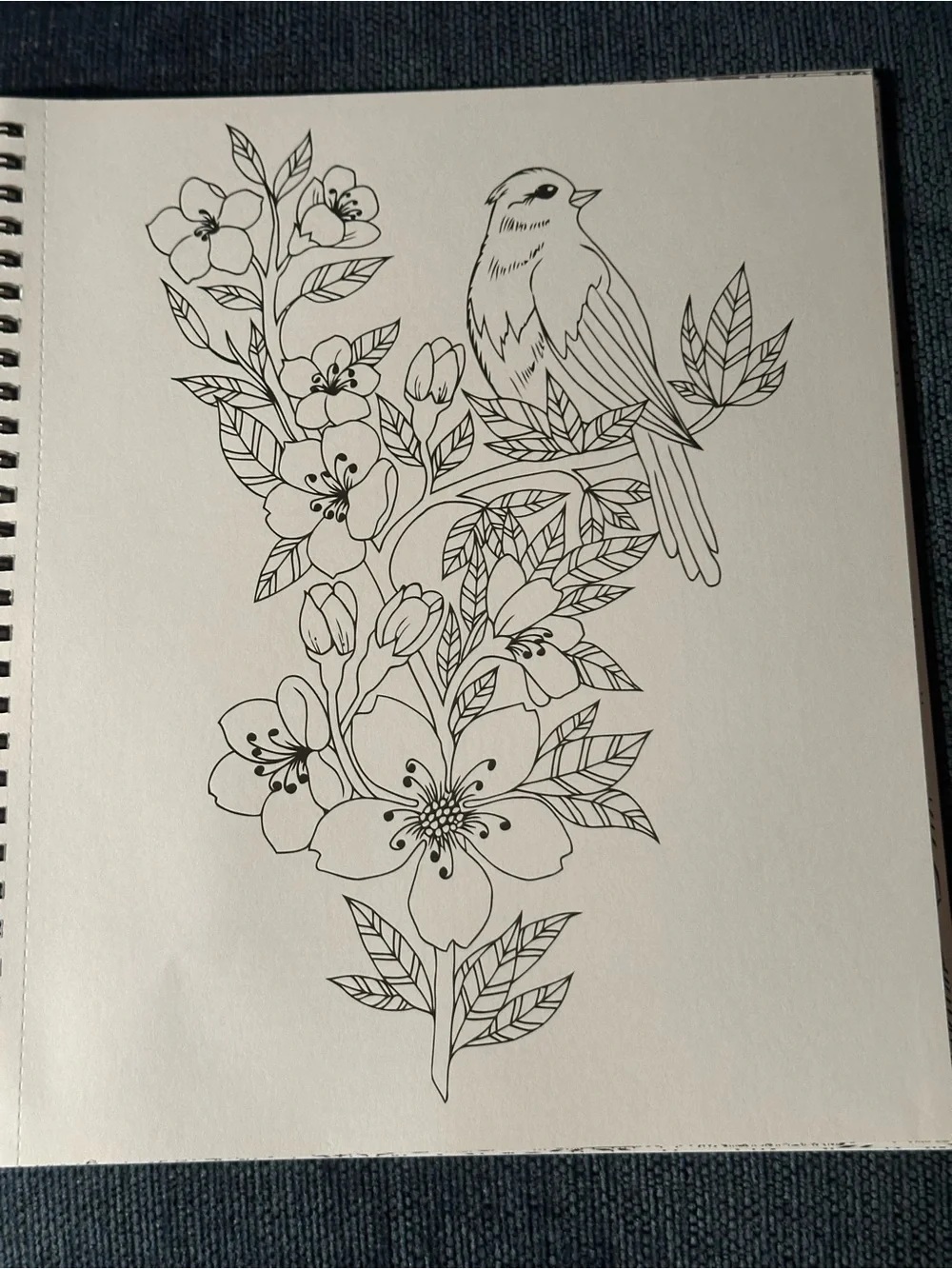 Country Gardens & Garden set of 2 Spiral Bound Adult Coloring